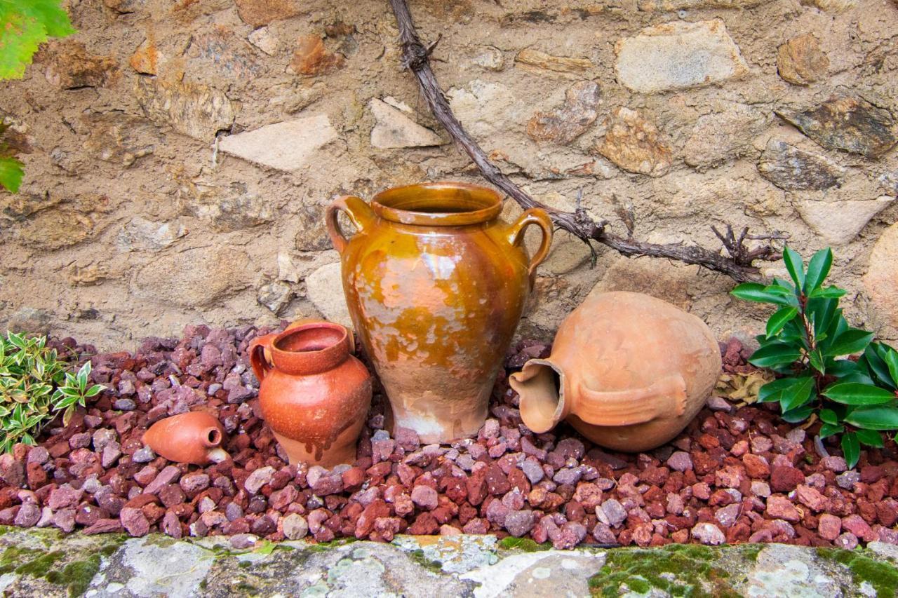 La Casita De Las Hortensias Ortigosa del Monte Ngoại thất bức ảnh