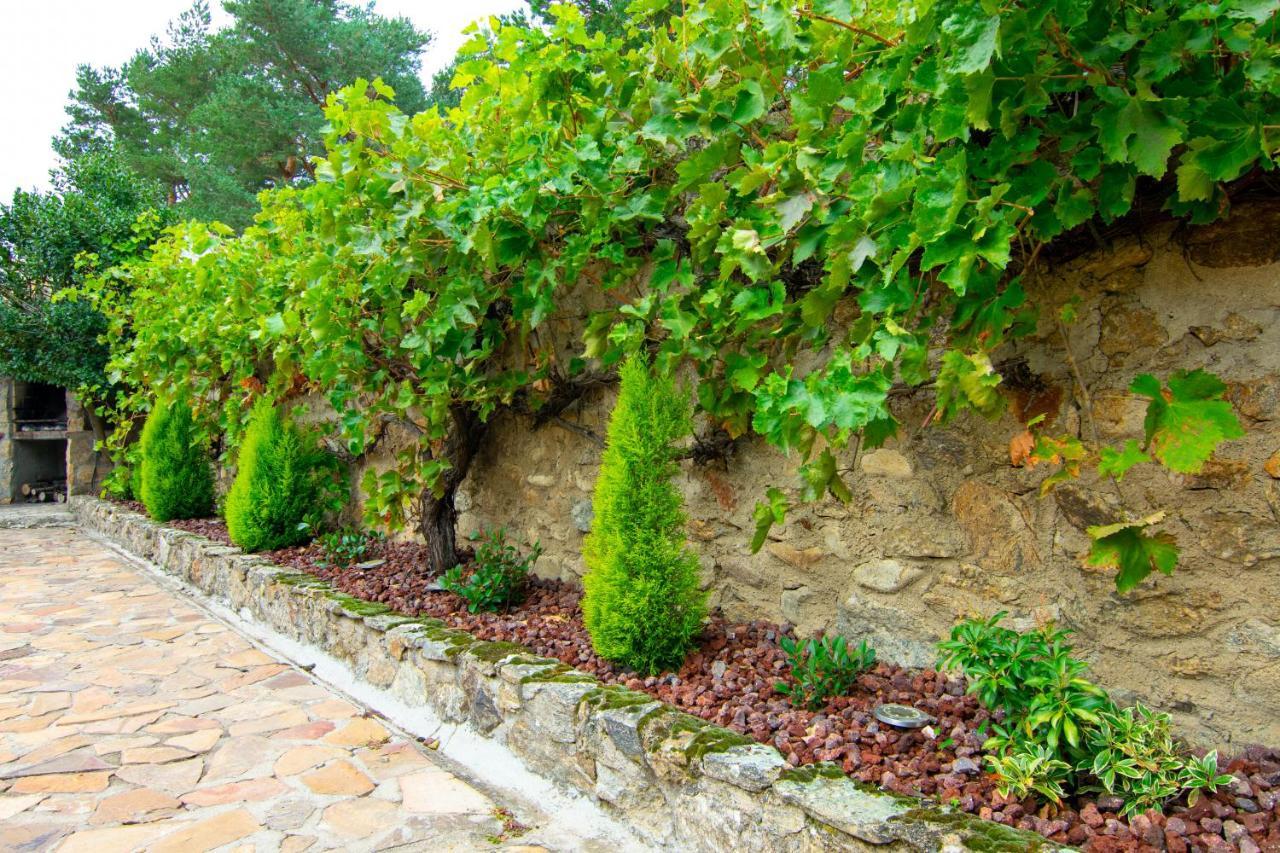 La Casita De Las Hortensias Ortigosa del Monte Ngoại thất bức ảnh